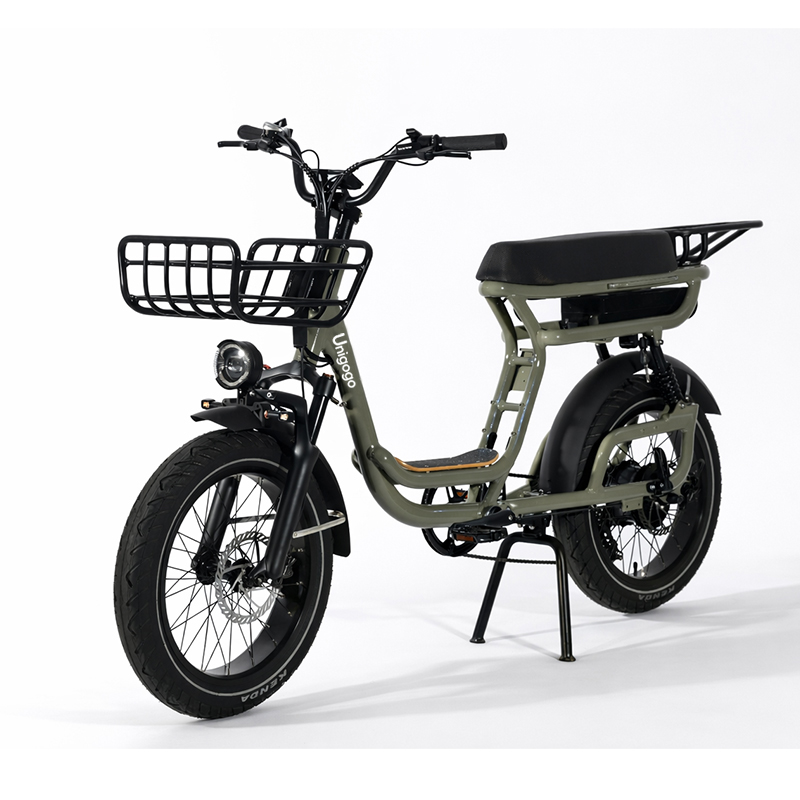 N3 20 Inch Electric Mountain B - Mountain Biking App ulasan dan harga
