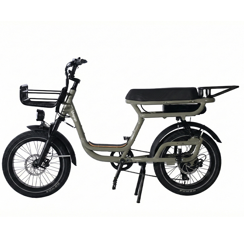N3 20 Inch Electric Mountain B - Mountain Biking App ulasan dan harga
